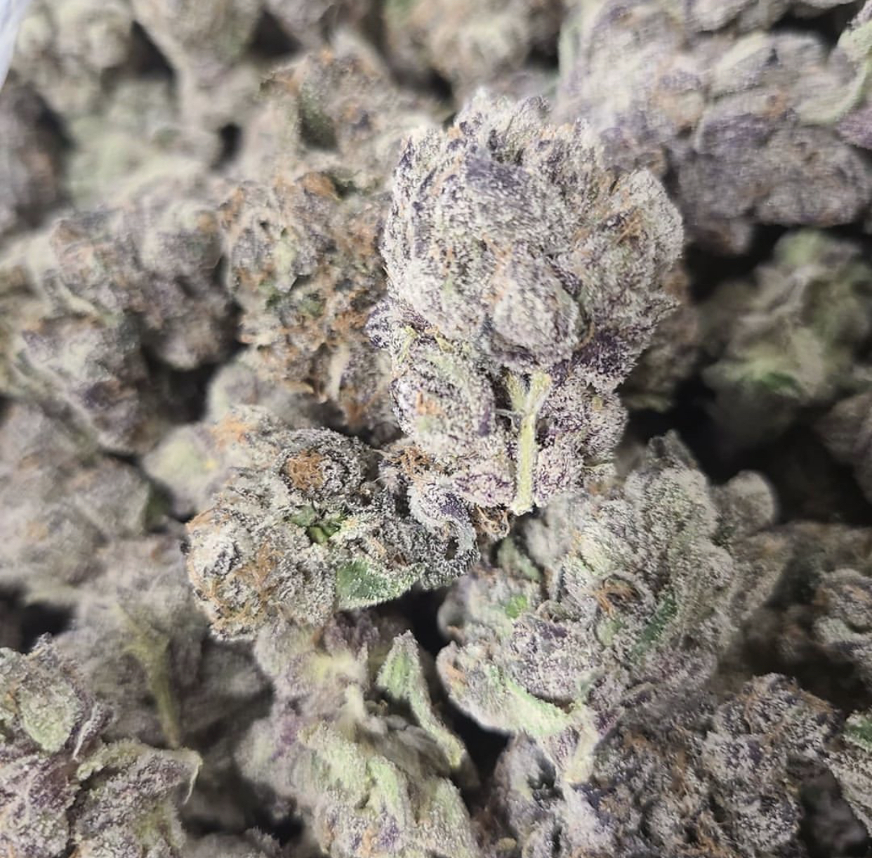 Fig Farm Sundae Driver