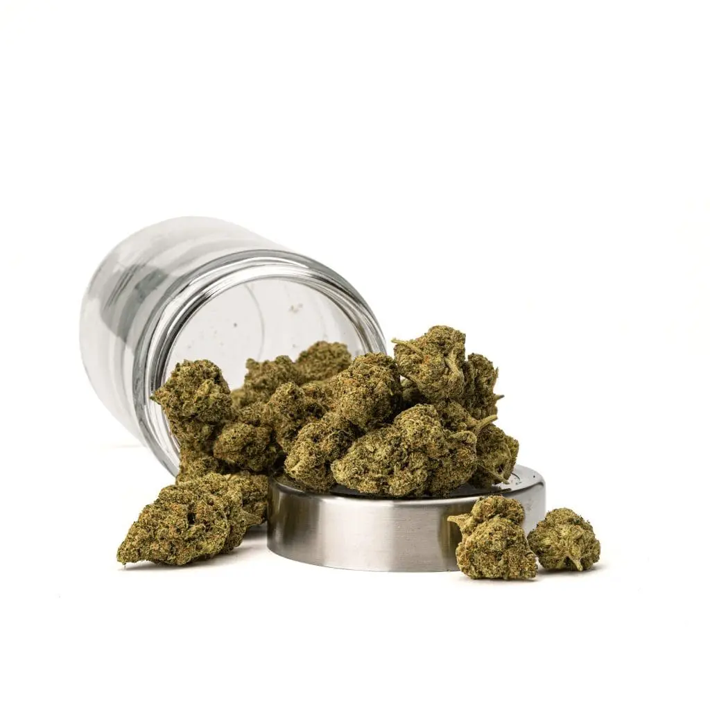 THCa Flower Sex Panther - Image 2