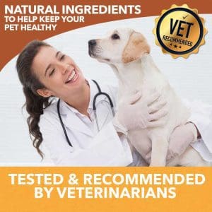 HolistaPet CBD Mobility Soft Chews for Dogs (300 mg Total CBD) - Image 5