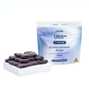 Urb Delta 9 and CBD Gummies – Blueberry Pomegranate